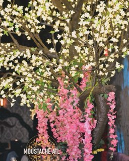 Decorated indoor view with floral trees inside Moustache Hookah Lounge